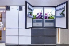 不只看到了多最新款高颜值的产物